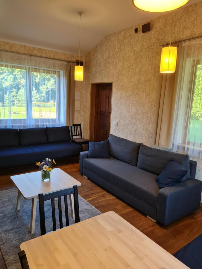 Atostogu Namelis-Pirtis Prie Upes Villa Anykščiai Buitenkant foto